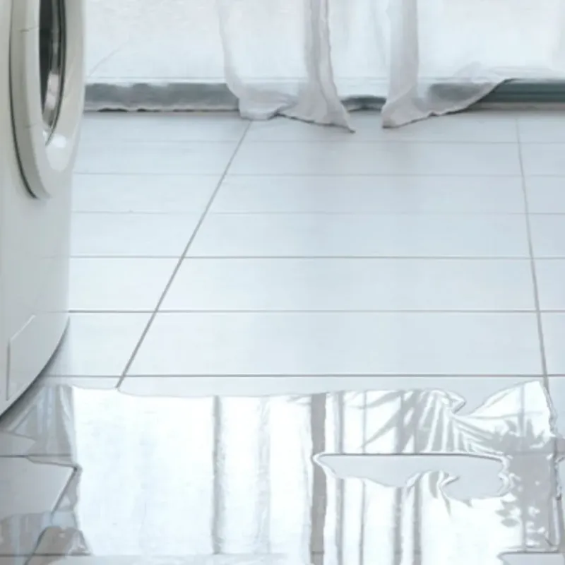Appliance Leak Cleanup in Belle Isle, FL